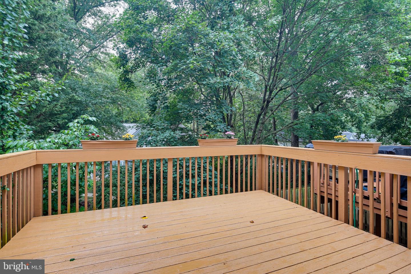 11767 Stonegate Ln Property Photo 15