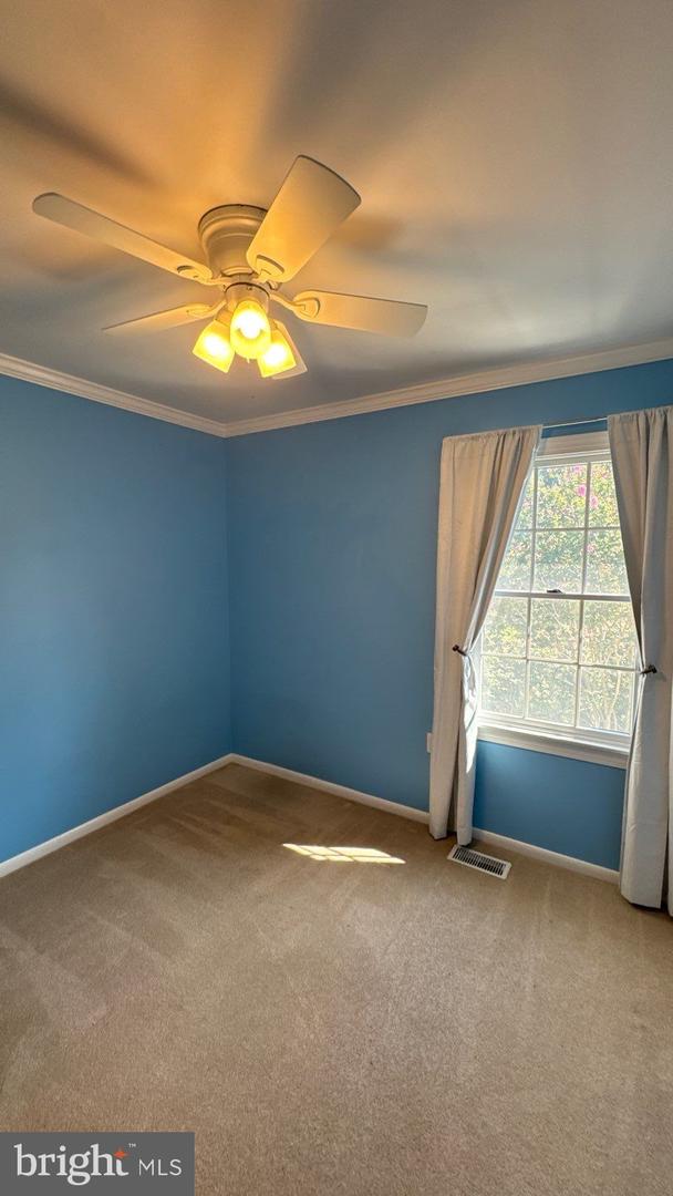 9205 Tunemaker Ter Property Photo 22