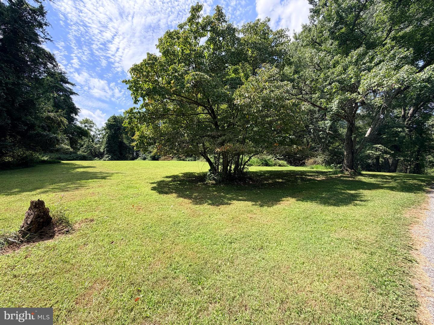 4392 Route 97 Property Photo 12