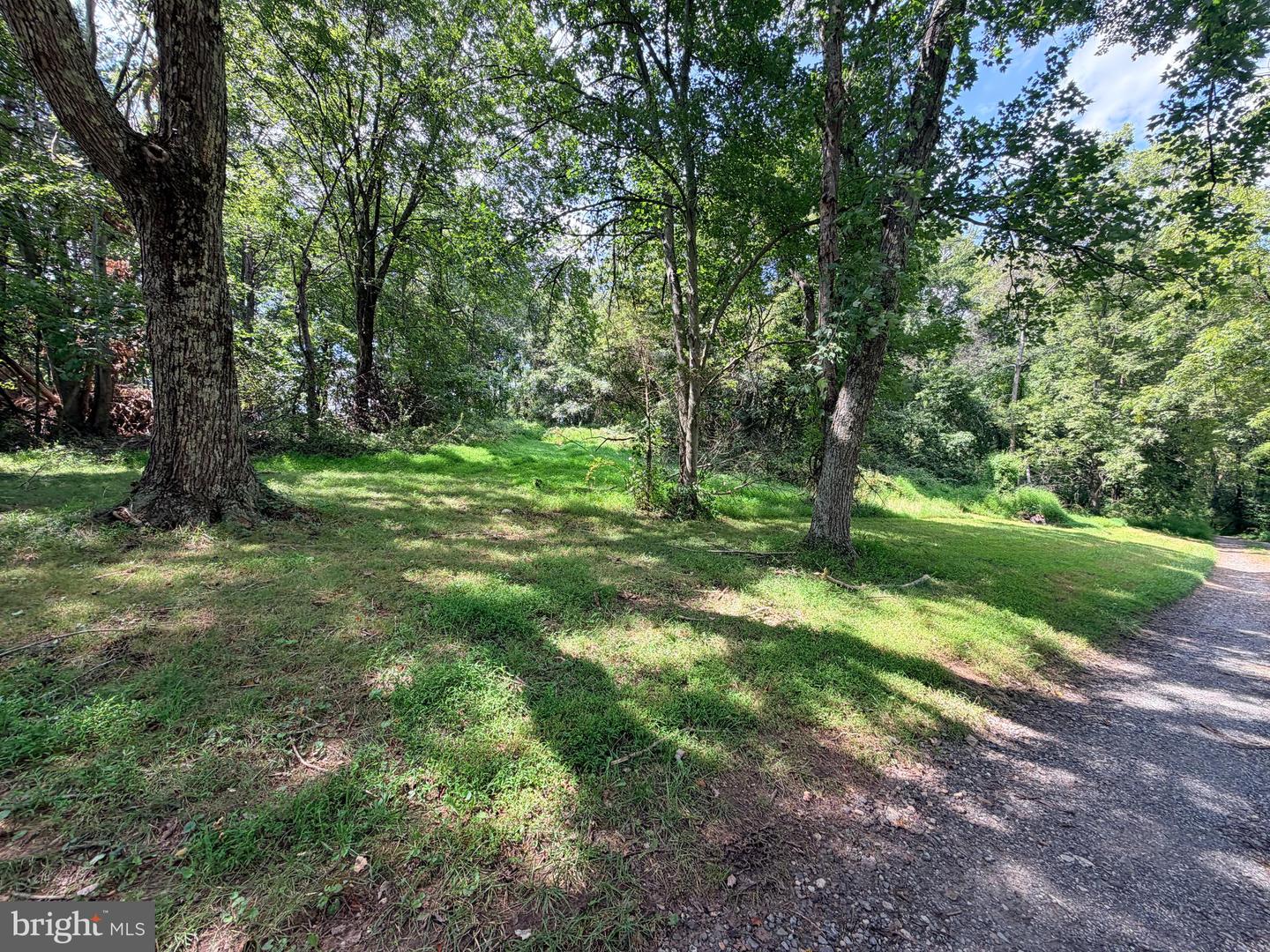 4392 Route 97 Property Photo 18