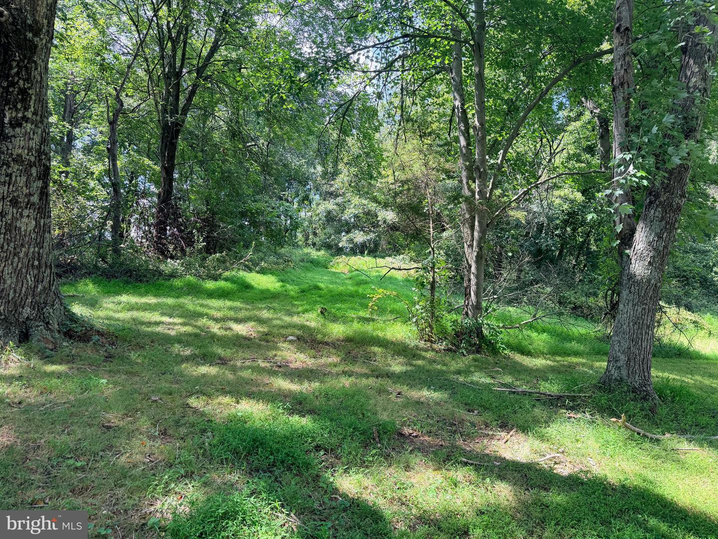 4392 Route 97 Property Photo 19