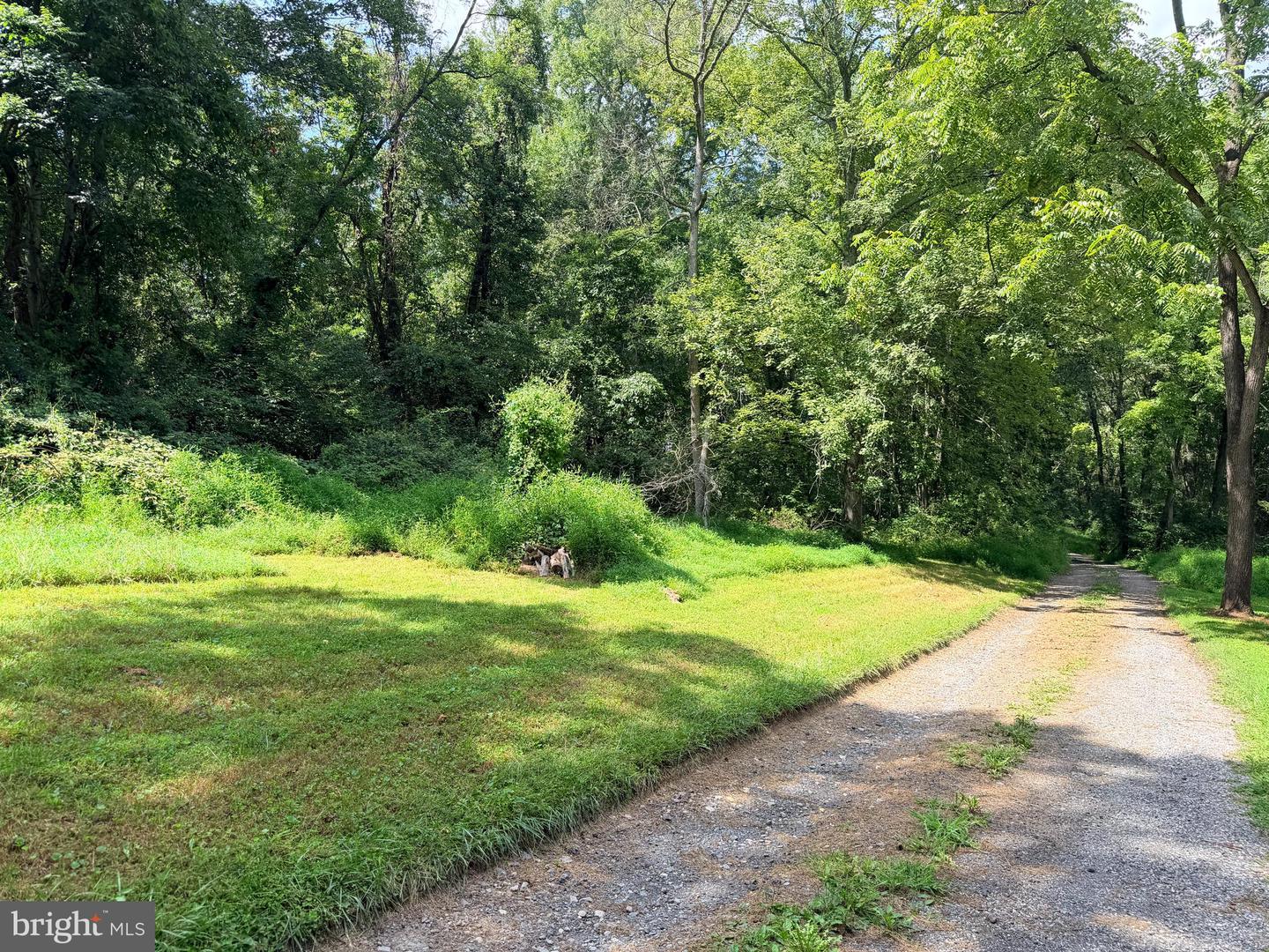 4392 Route 97 Property Photo 21