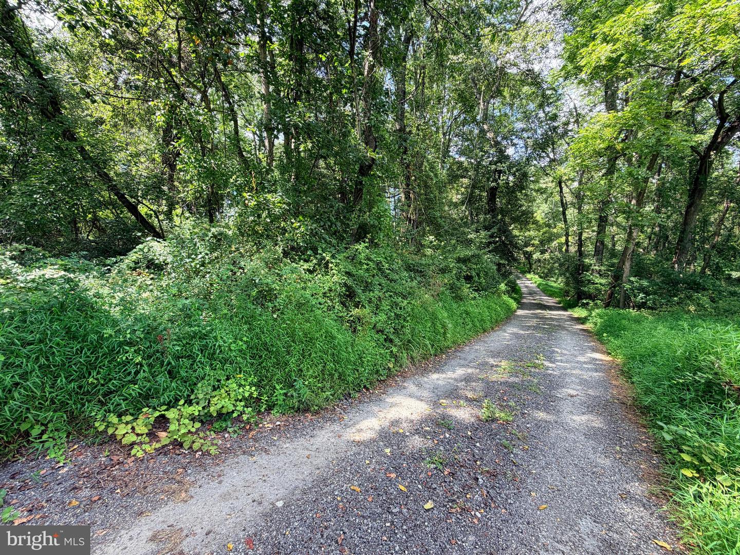 4392 Route 97 Property Photo 23
