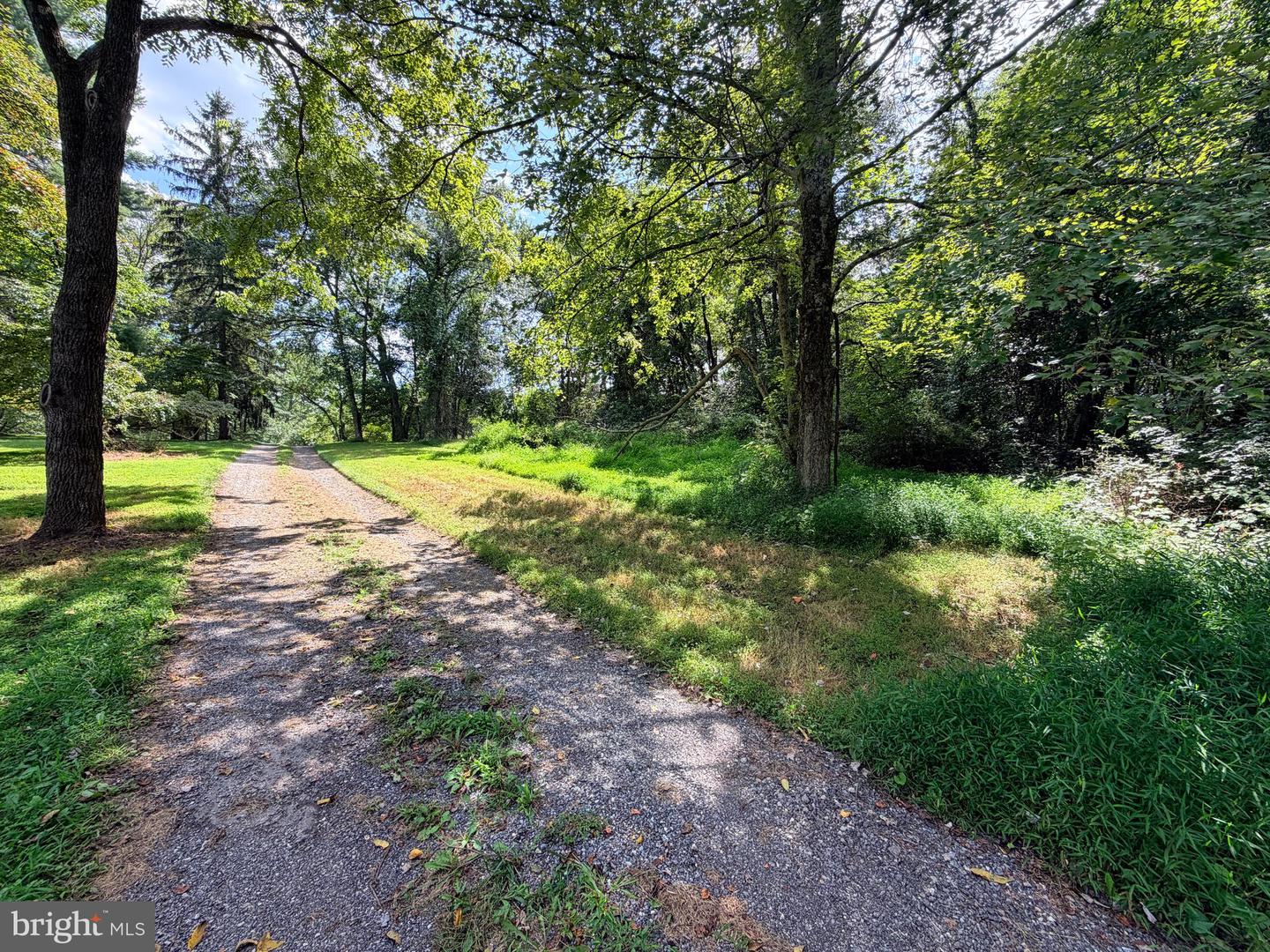4392 Route 97 Property Photo 24