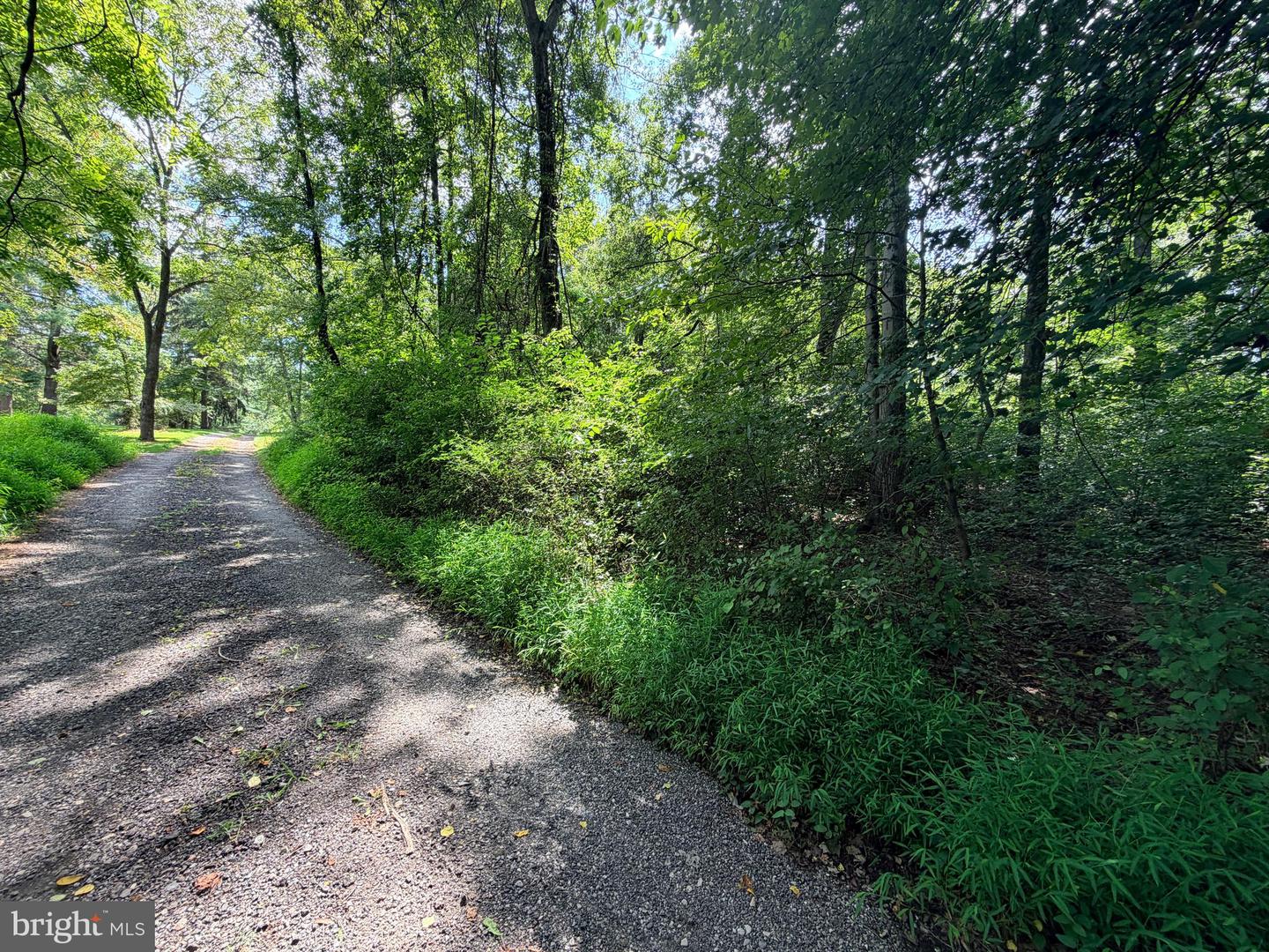 4392 Route 97 Property Photo 25