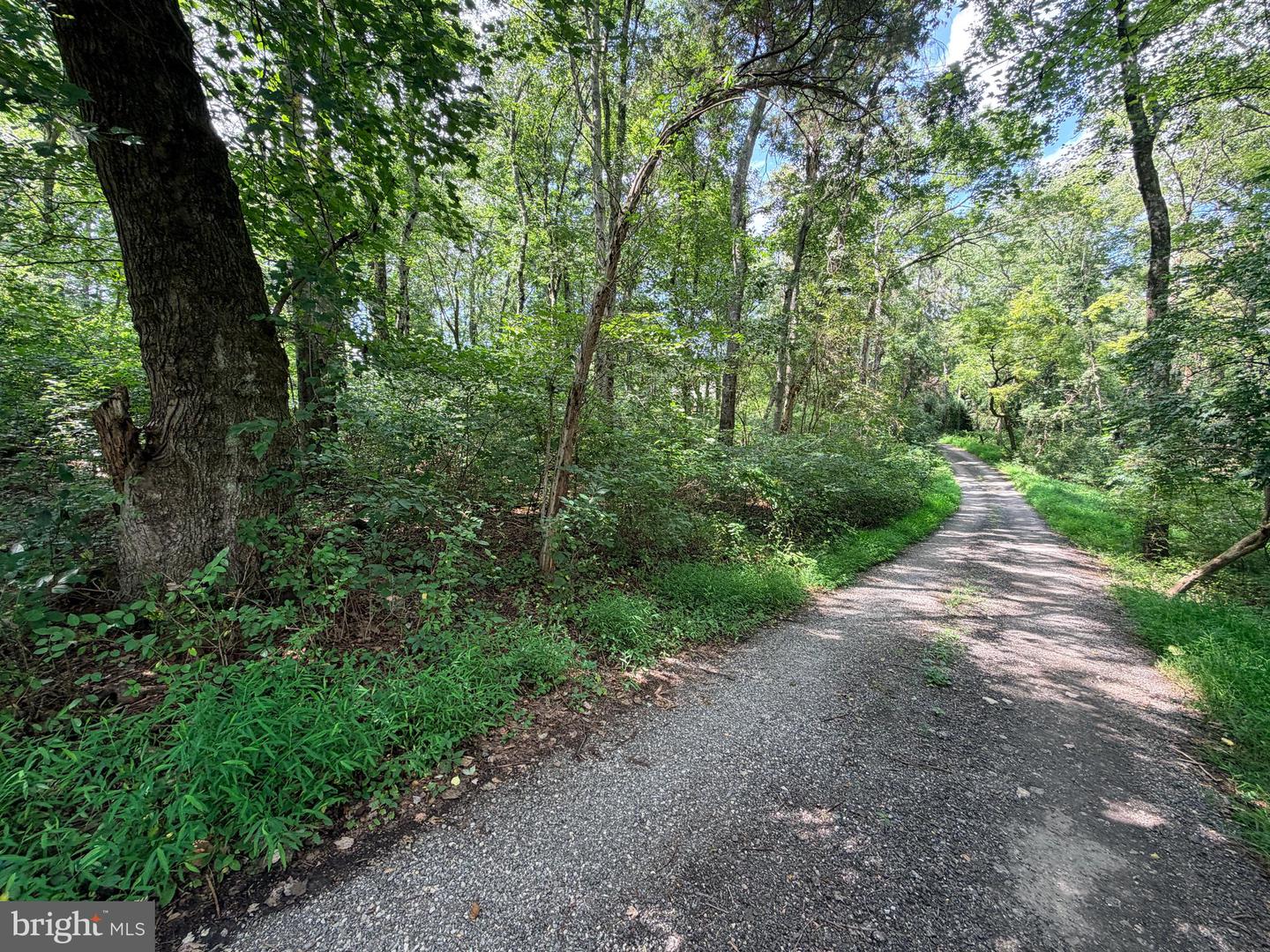 4392 Route 97 Property Photo 26