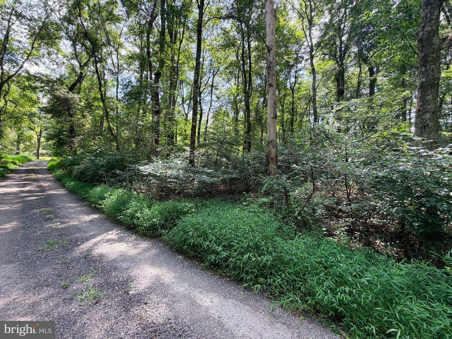 4392 Route 97 Property Photo 27