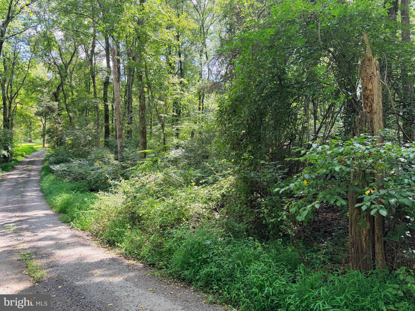 4392 Route 97 Property Photo 29