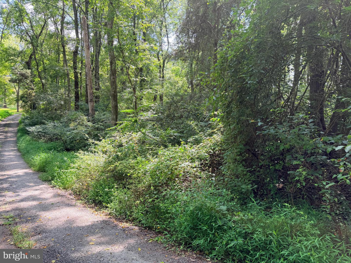 4392 Route 97 Property Photo 30