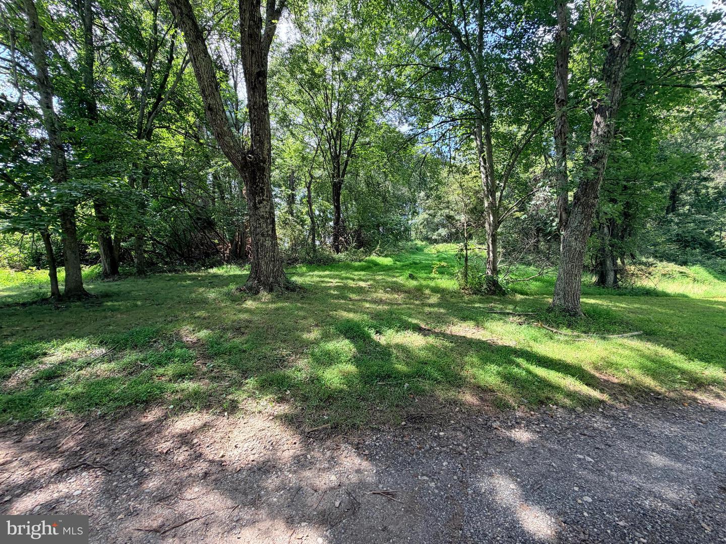 4392 Route 97 Property Photo 33