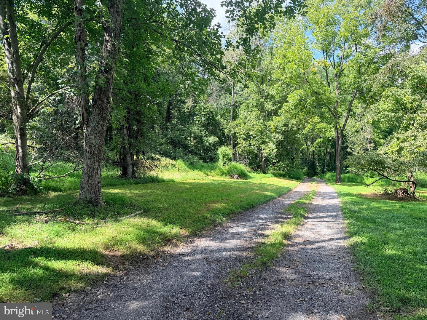 4392 Route 97 Property Photo 35