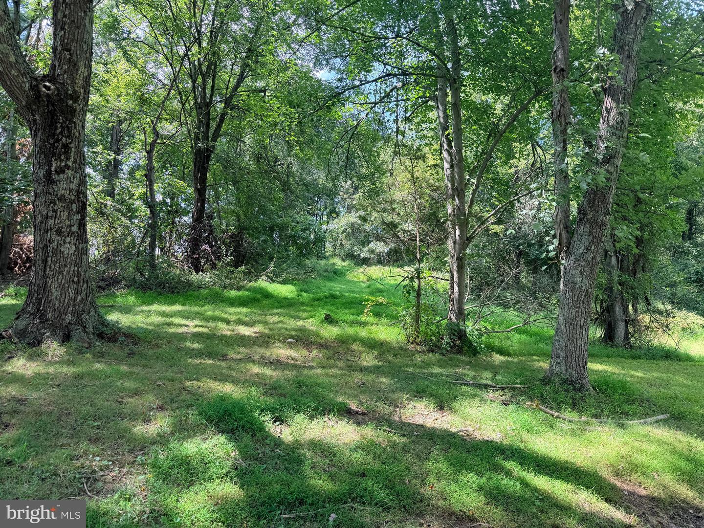 4392 Route 97 Property Photo 36
