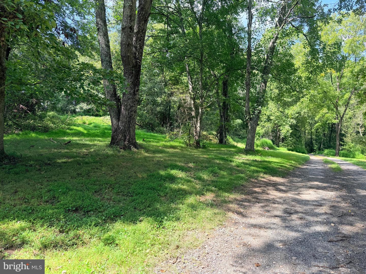 4392 Route 97 Property Photo 37