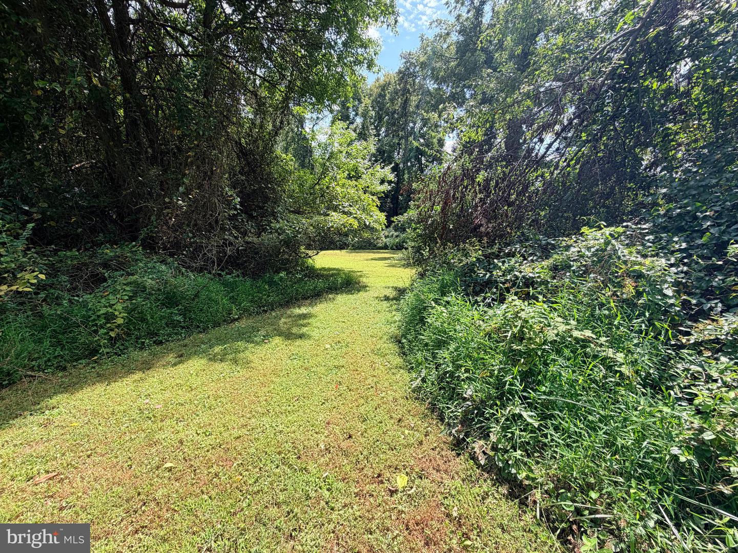 4392 Route 97 Property Photo 45