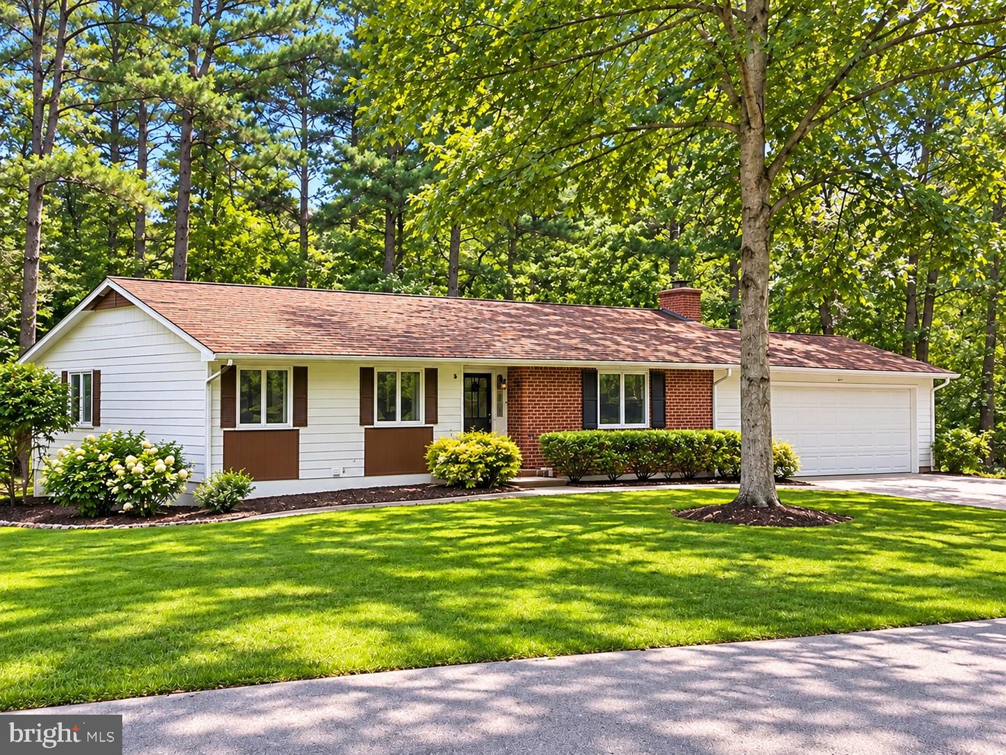 10675 Rain Dream Hl Property Photo 1