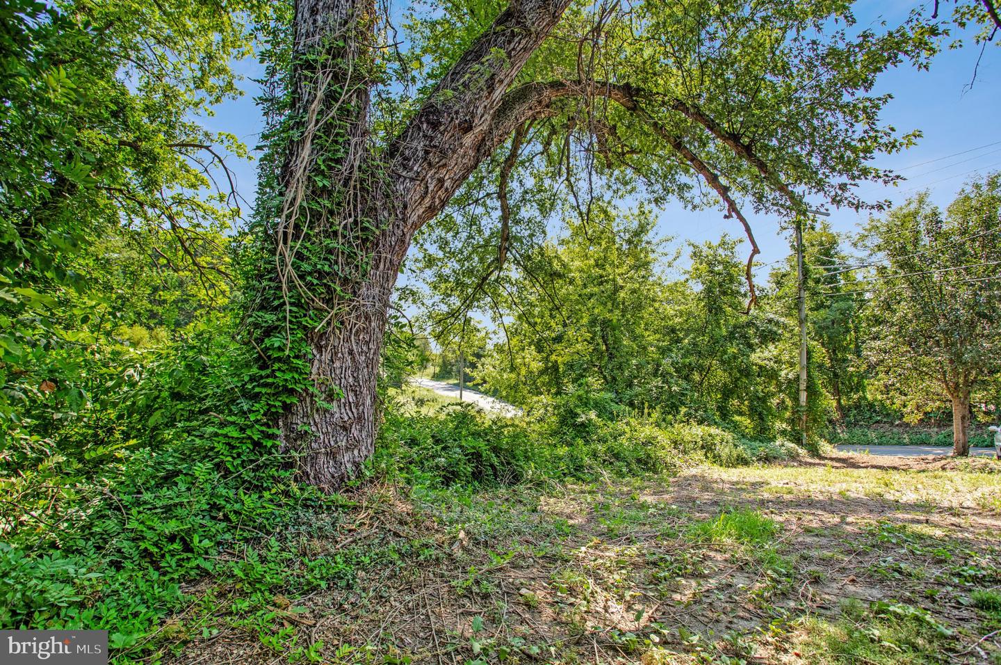 6485 Anderson Ave Property Photo 24