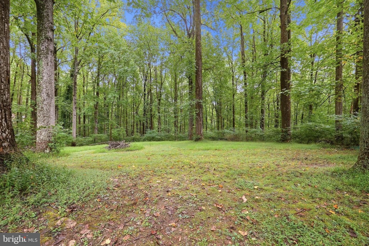 2555 Sand Hill Property Photo 52