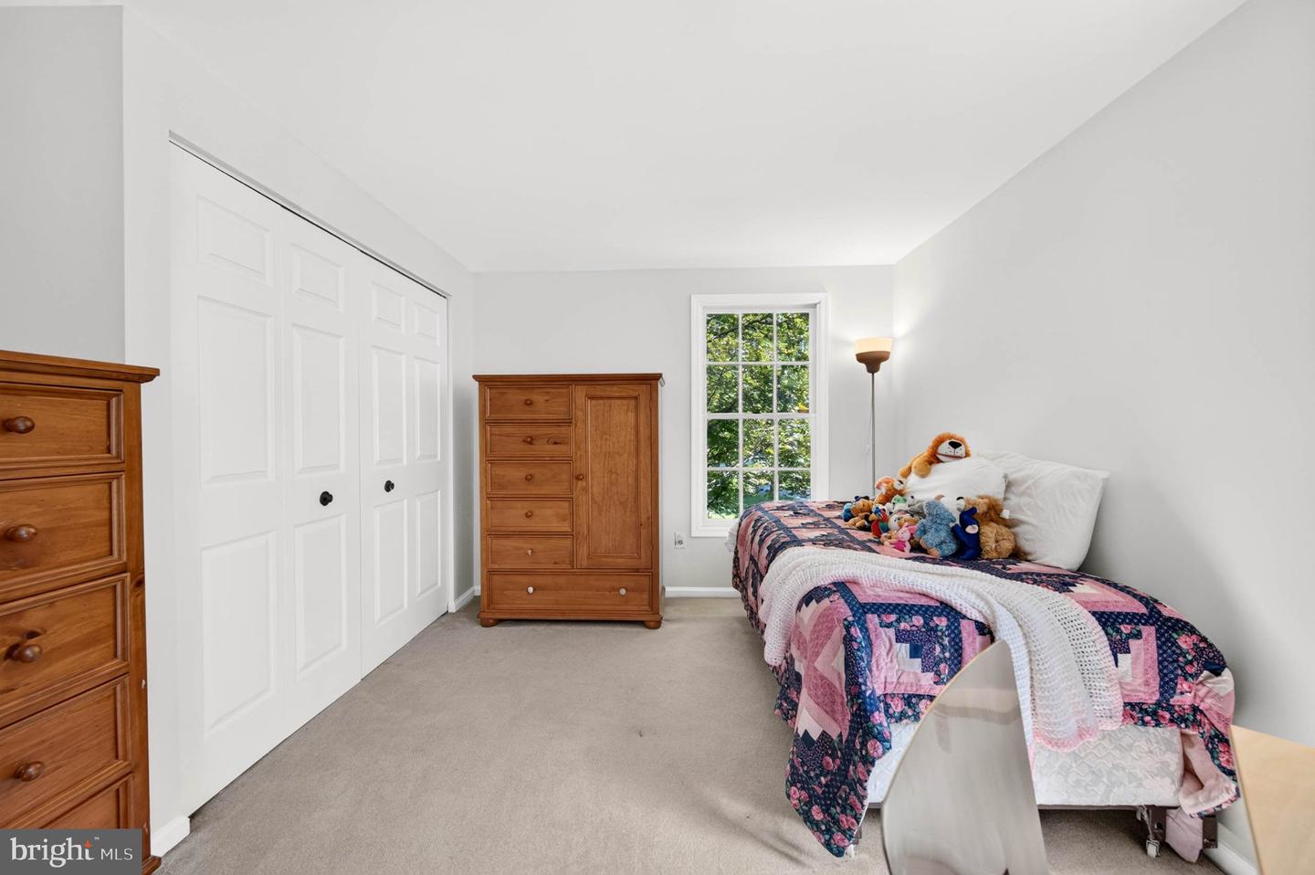 10211 Feaga Farm Ct W Property Photo 31