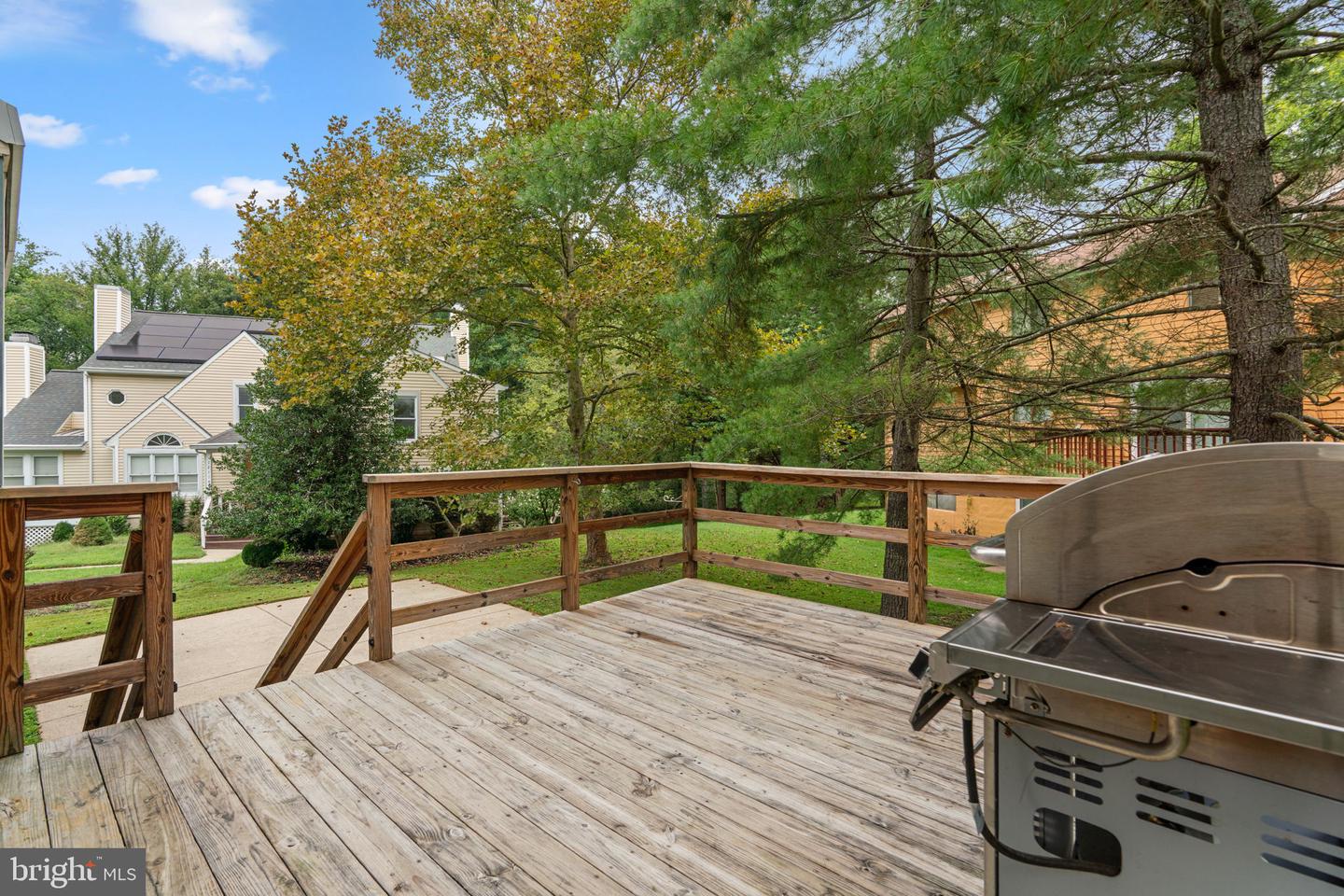 12110 Blue Flag Way Property Photo 51