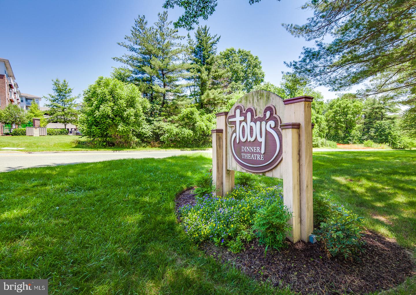 12110 Blue Flag Way Property Photo 61