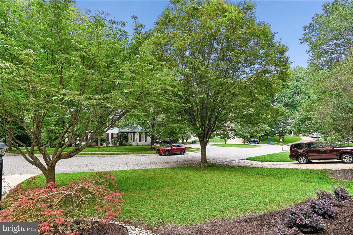 11806 Snow Patch Way Property Photo 3