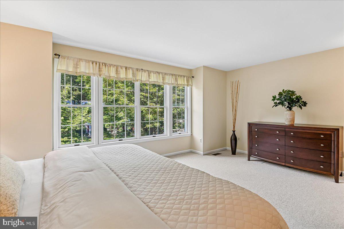 11806 Snow Patch Way Property Photo 35