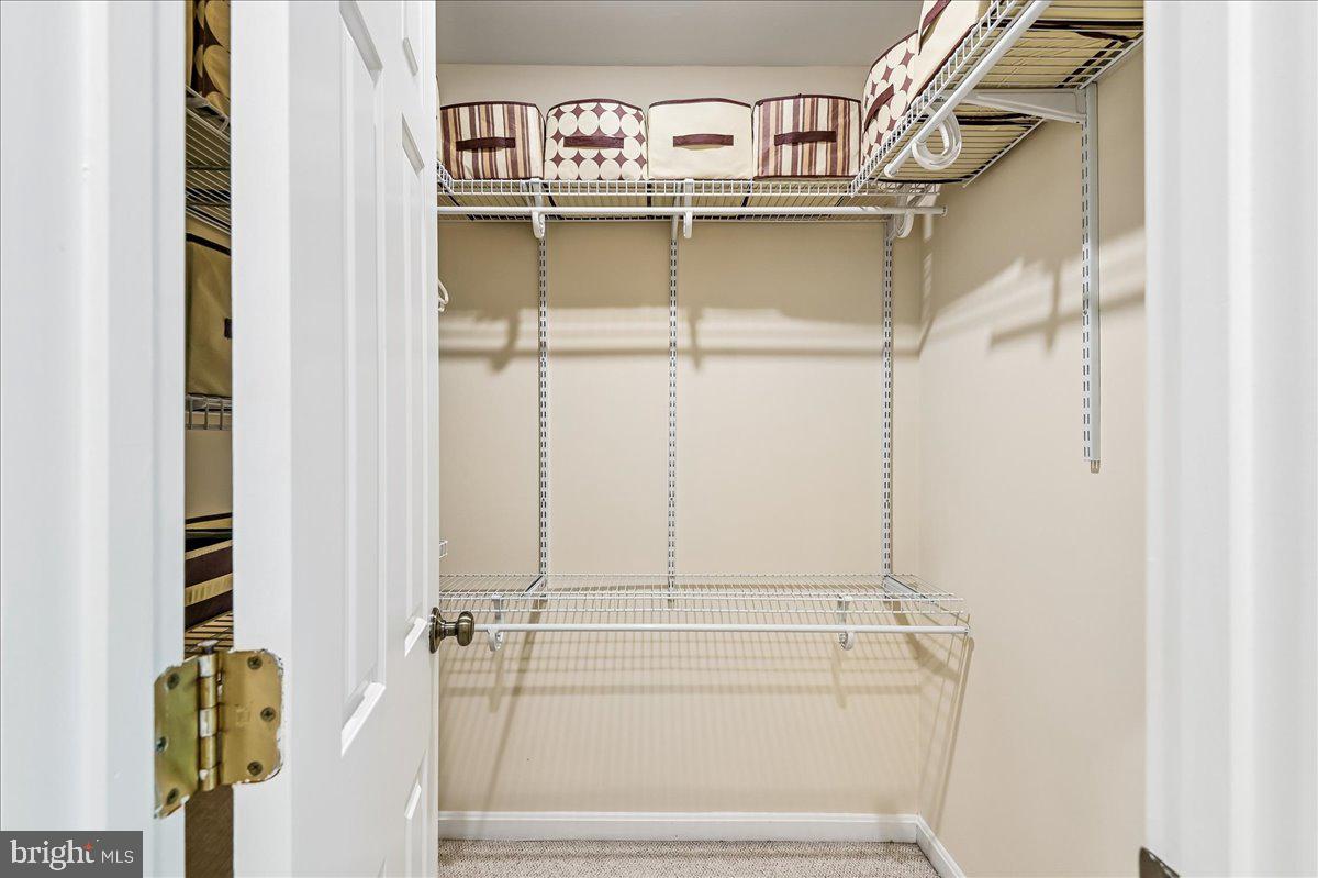 11806 Snow Patch Way Property Photo 41