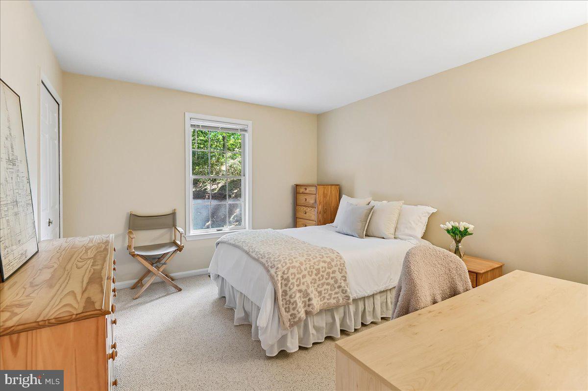 11806 Snow Patch Way Property Photo 45