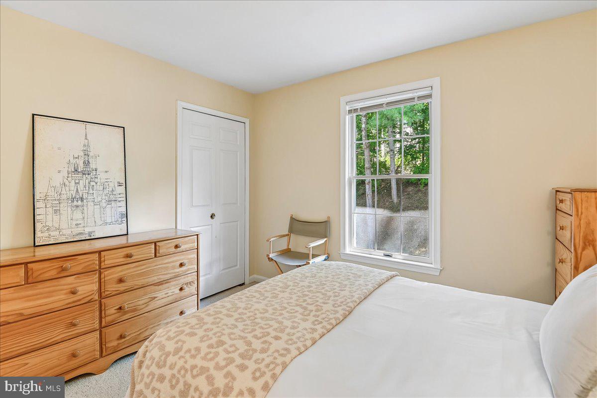 11806 Snow Patch Way Property Photo 46