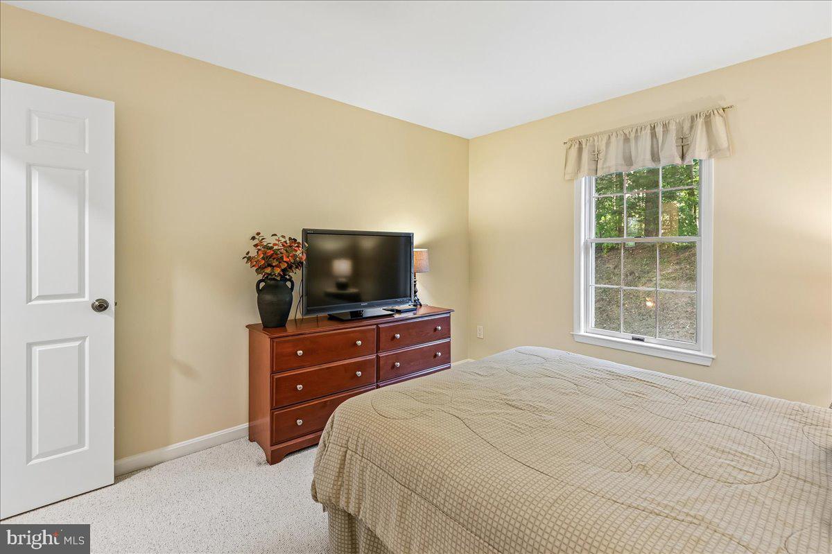 11806 Snow Patch Way Property Photo 50