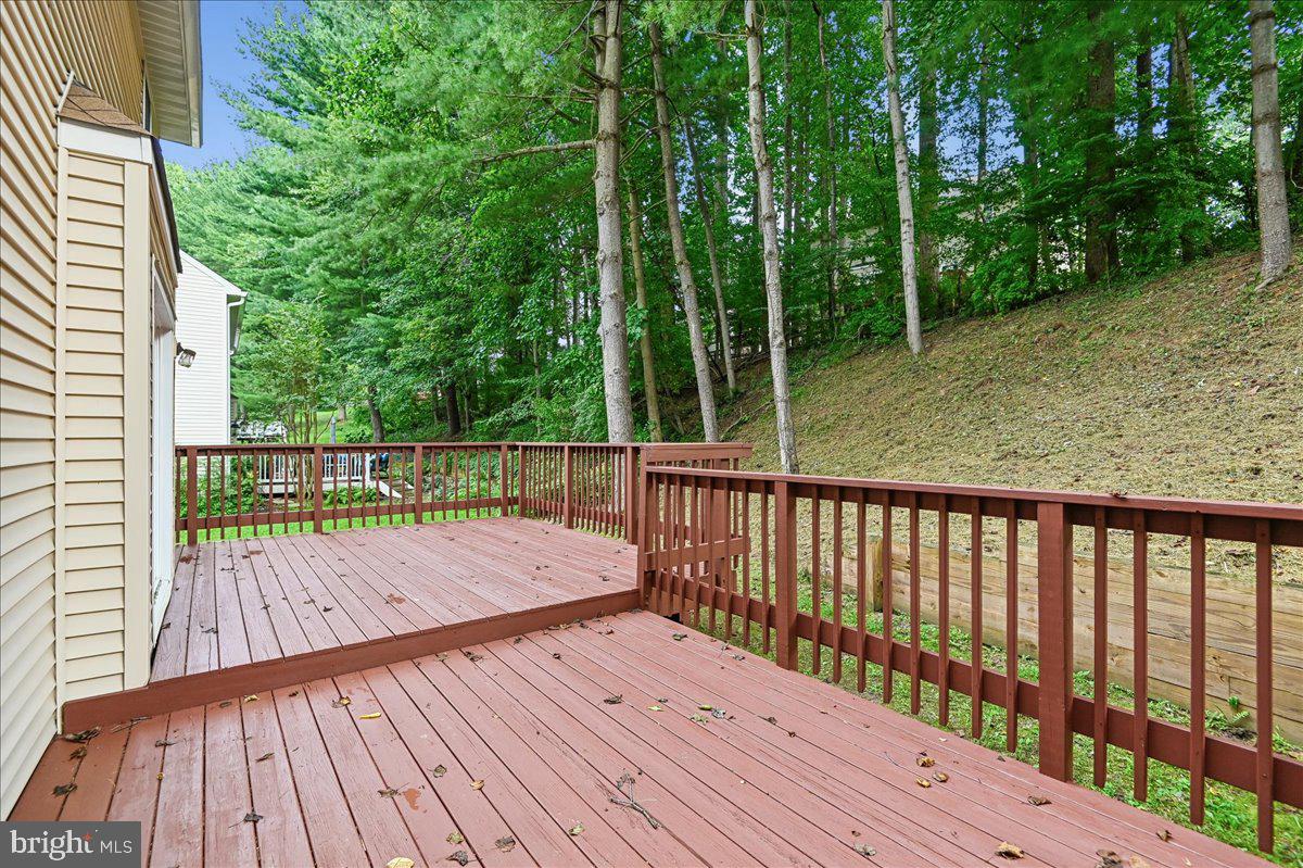 11806 Snow Patch Way Property Photo 62