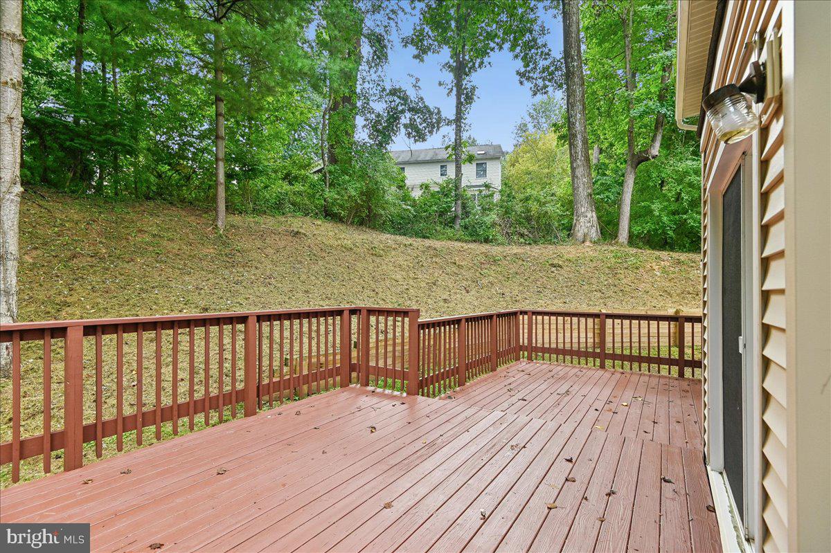 11806 Snow Patch Way Property Photo 63