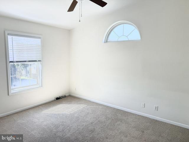 7500 Cove Point Way Property Photo 11