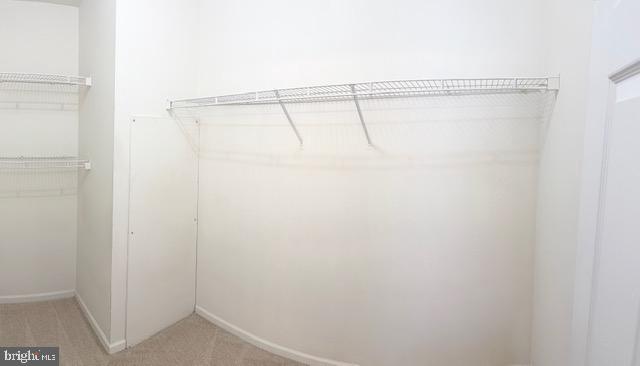 7500 Cove Point Way Property Photo 16