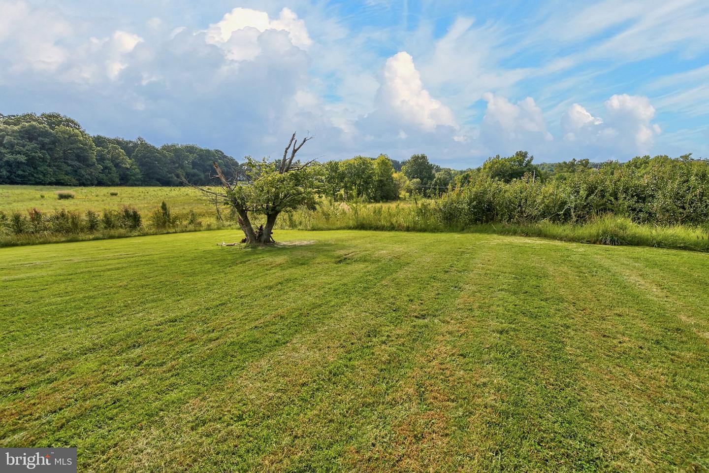 13170 Triadelphia Mill Rd Property Photo 50