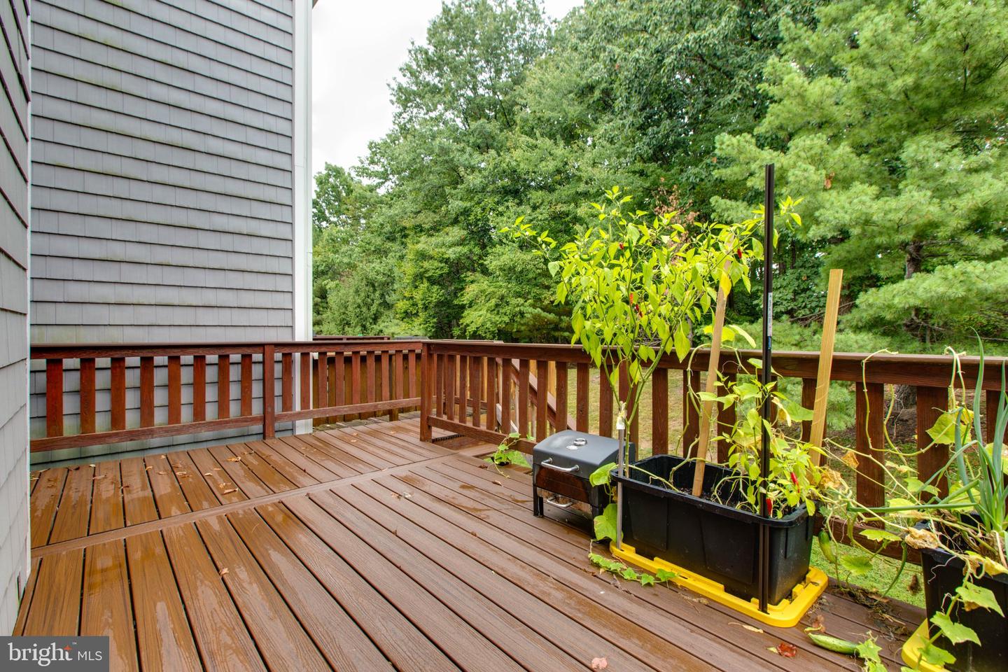 7717 Heatherside Ln Property Photo 20
