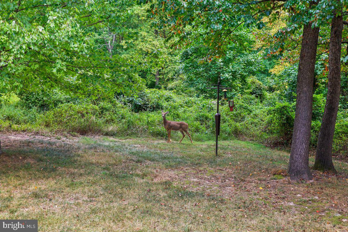 6411 Montgomery Rd Property Photo 46