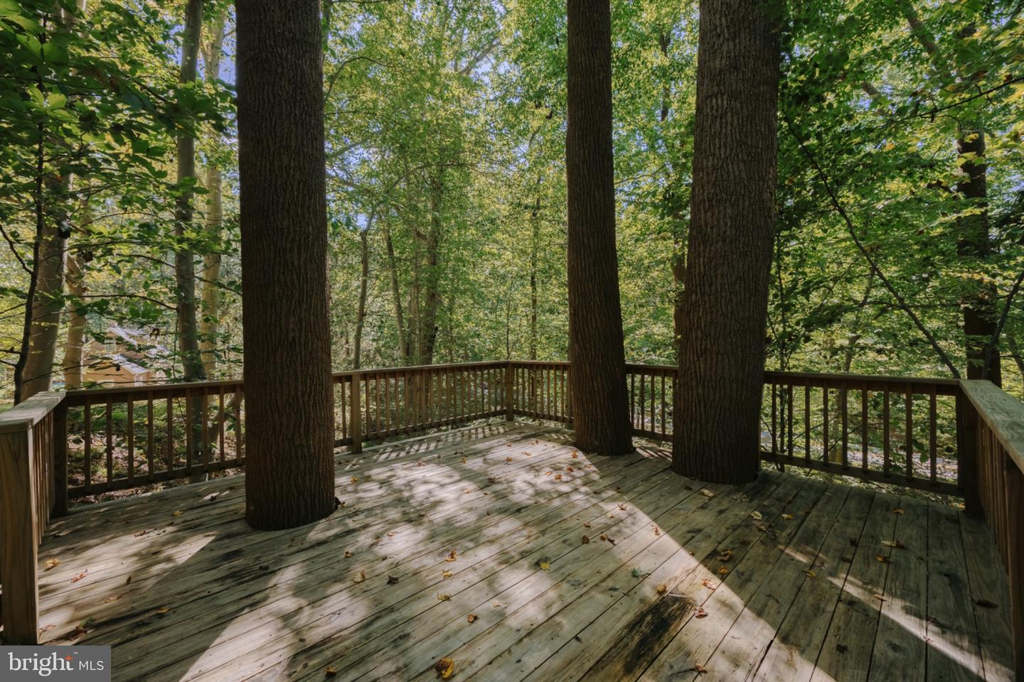 4667 Beechwood Rd Property Photo 62
