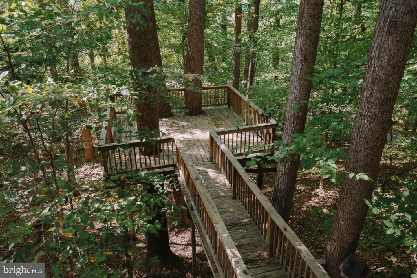 4667 Beechwood Rd Property Photo 65