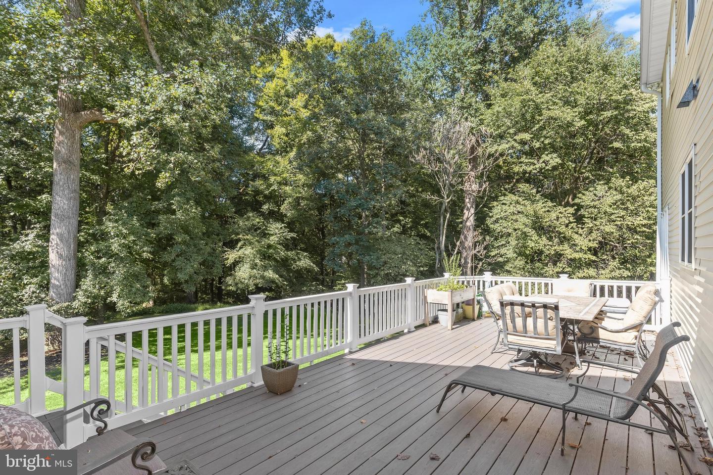 12074 Broad Meadow Ln Property Photo 28