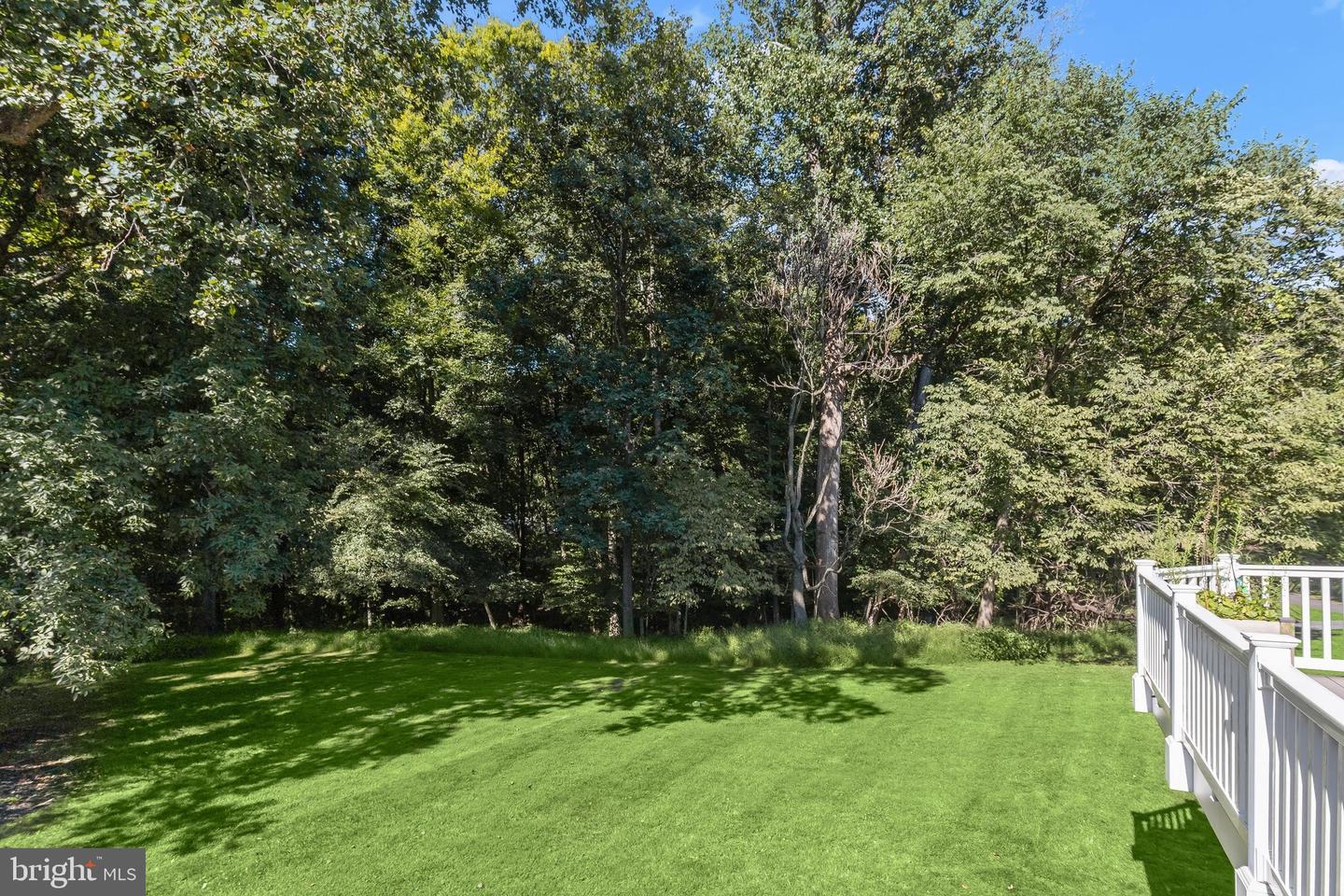 12074 Broad Meadow Ln Property Photo 29