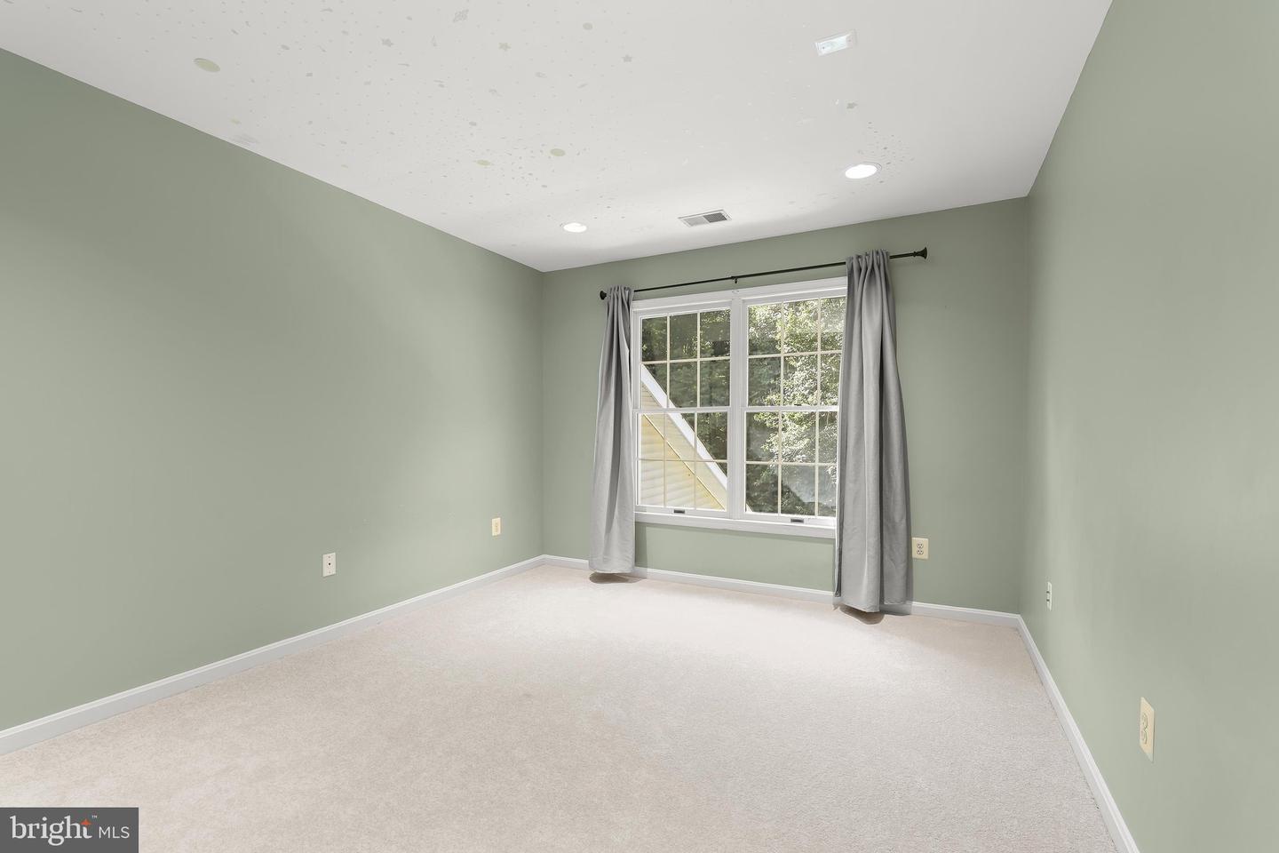12074 Broad Meadow Ln Property Photo 39