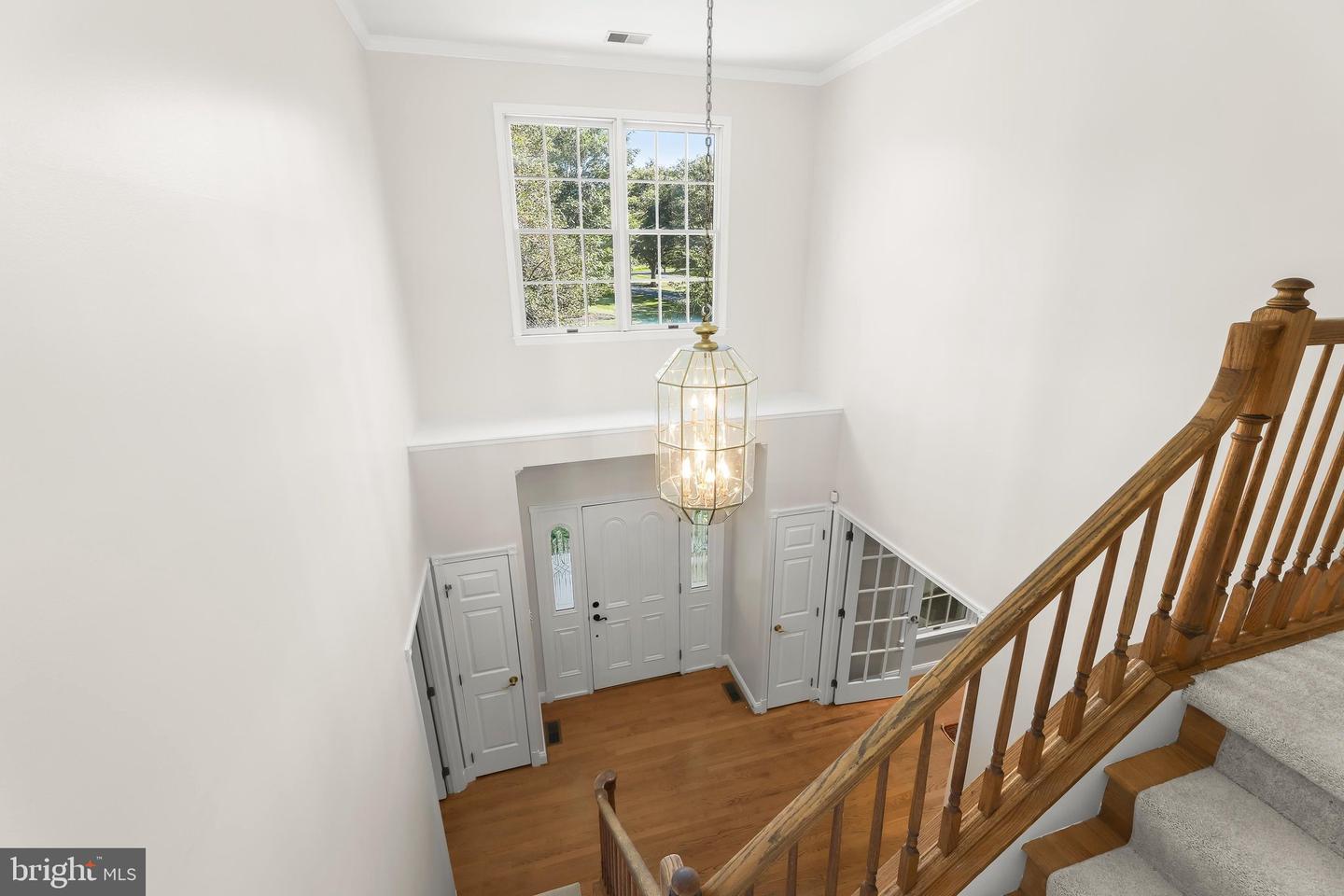12074 Broad Meadow Ln Property Photo 41