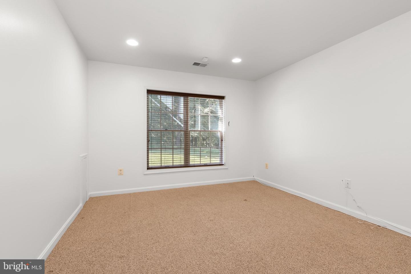 12074 Broad Meadow Ln Property Photo 47