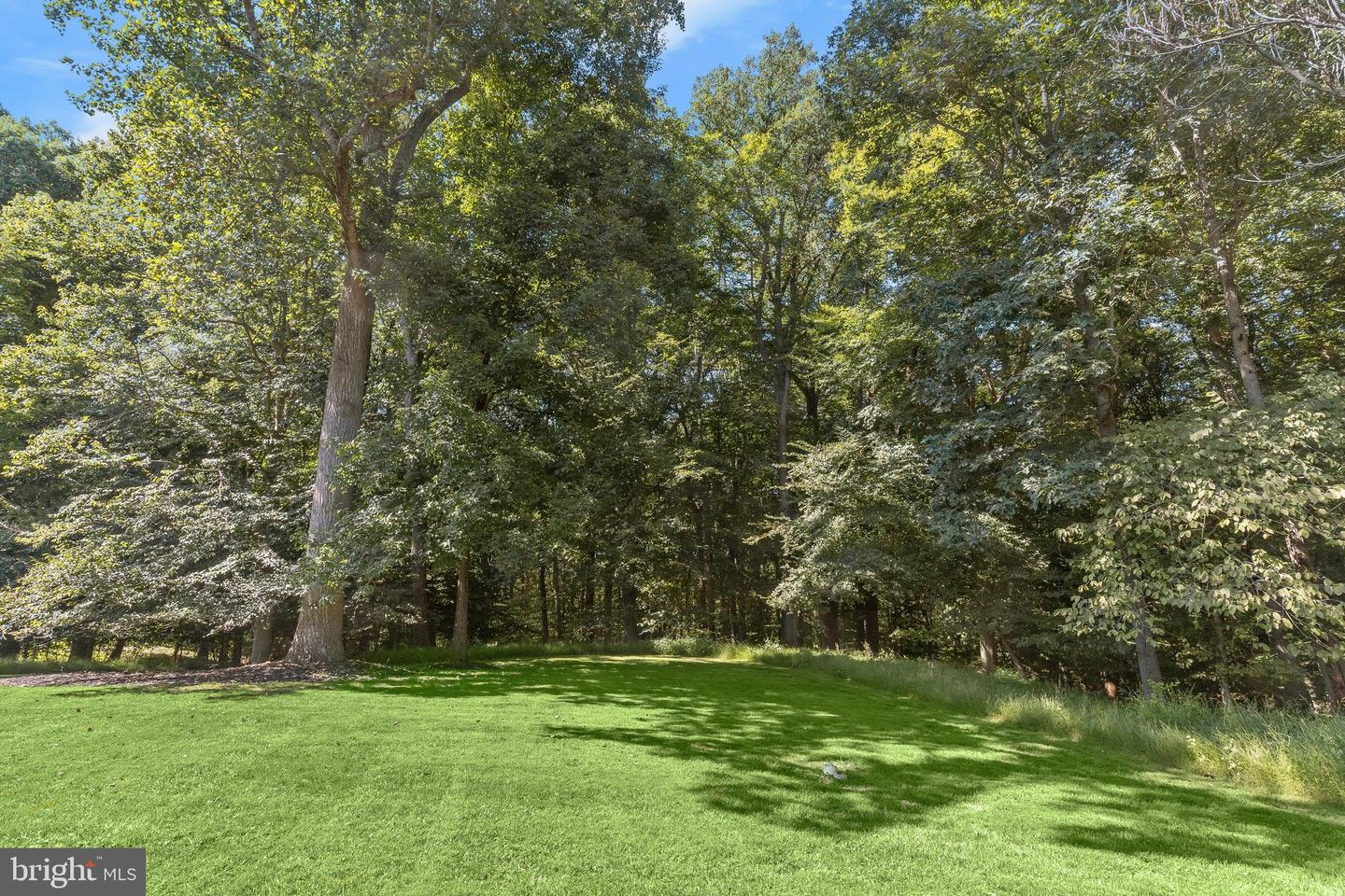 12074 Broad Meadow Ln Property Photo 61