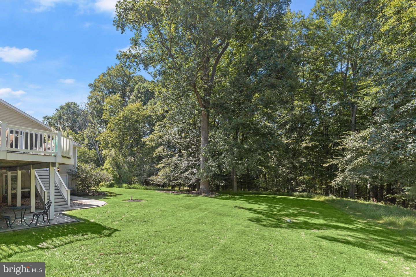 12074 Broad Meadow Ln Property Photo 62