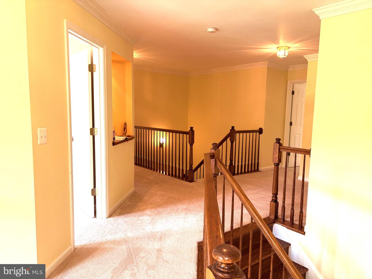 15528 Cattail Oaks Property Photo 22