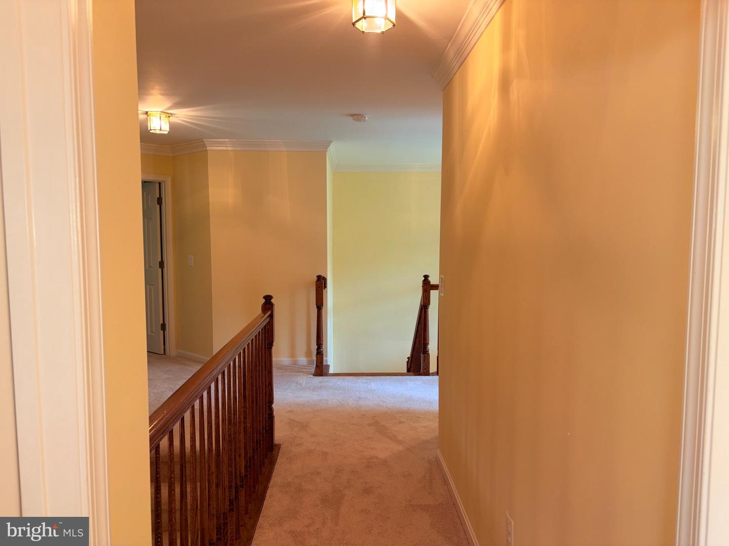 15528 Cattail Oaks Property Photo 25