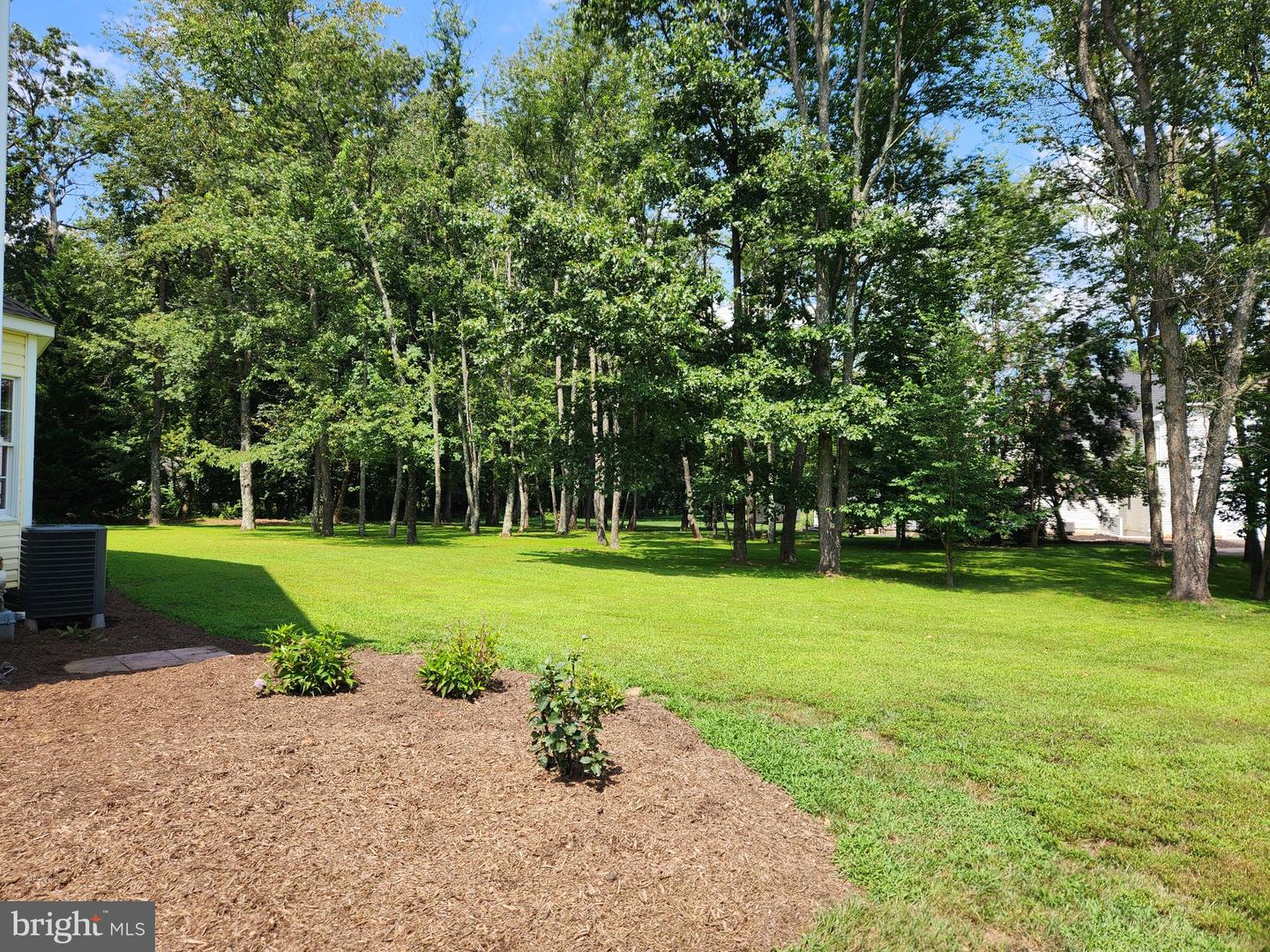 15528 Cattail Oaks Property Photo 69
