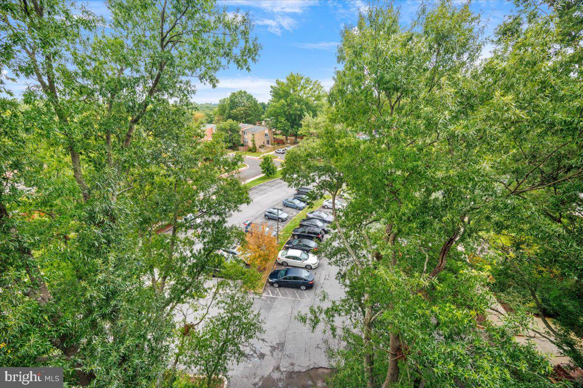 10850 Green Mountain Cir #518 Property Photo 21